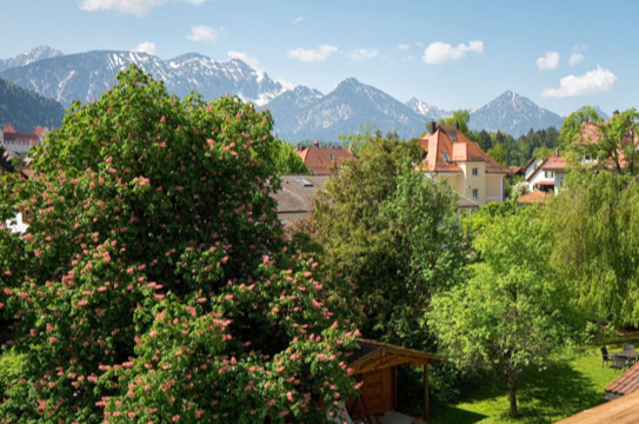 Ausblick aus Einzelzimmer auf Garten und Berge Ausblick aus Einzelzimmer auf Garten und Berge